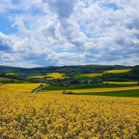 Himmel, Wald & Wiese *