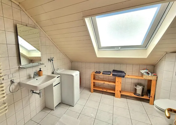 Himmel, Wald & Wiese