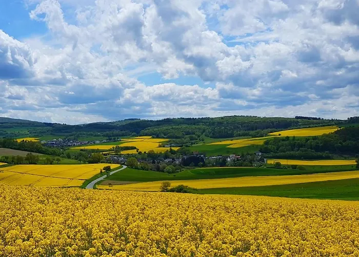 Himmel, Wald & Wiese *
